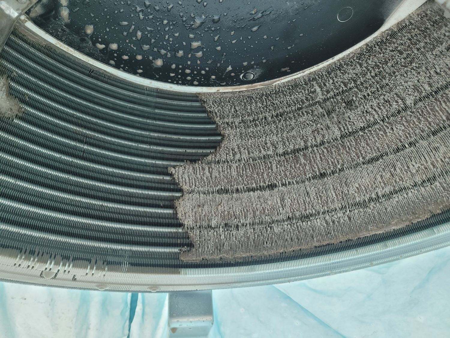 ae9cfa61f8189232ed22520ad8ffc119_1744625715_0403.jpg