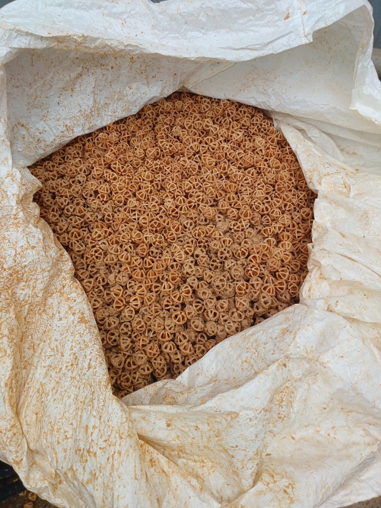 60bad50fffeb34dabed8946e67f21279_1762085330_9085.jpg 60bad50fffeb34dabed8946e67f21279_1762085330_9085.jpg